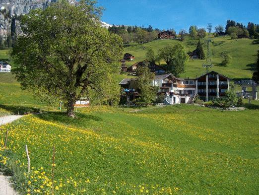 Hotel Restaurant Cristal Braunwald Exterior foto